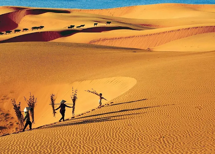 Misa * Phan Thiet