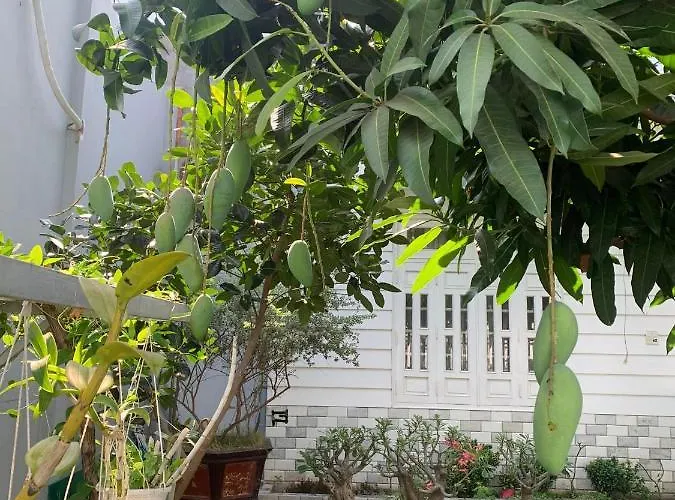 Misa Villa *